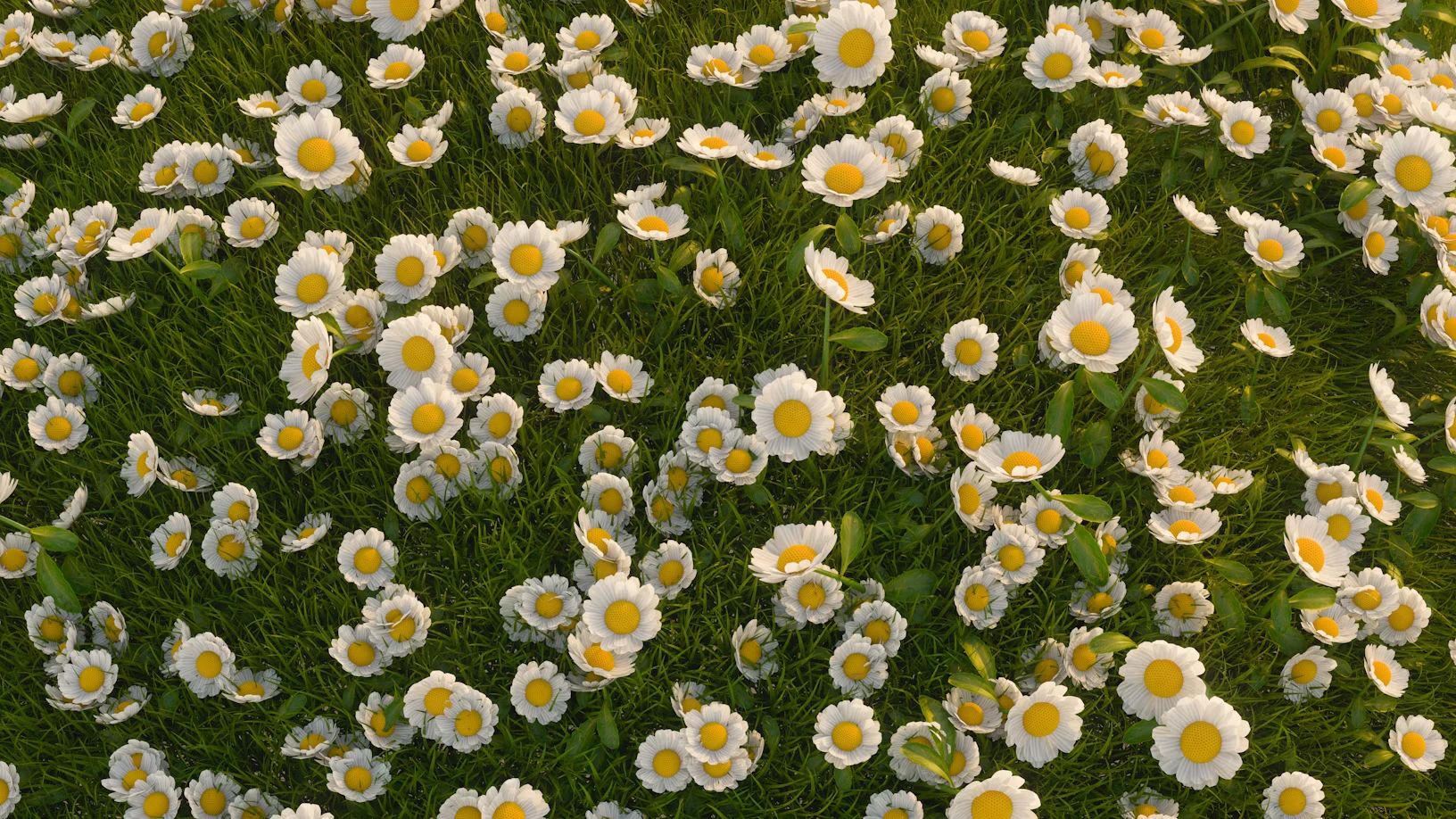 Azurio Image